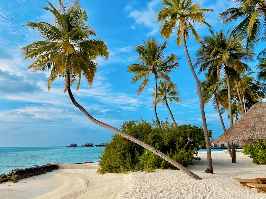 Punta Cana